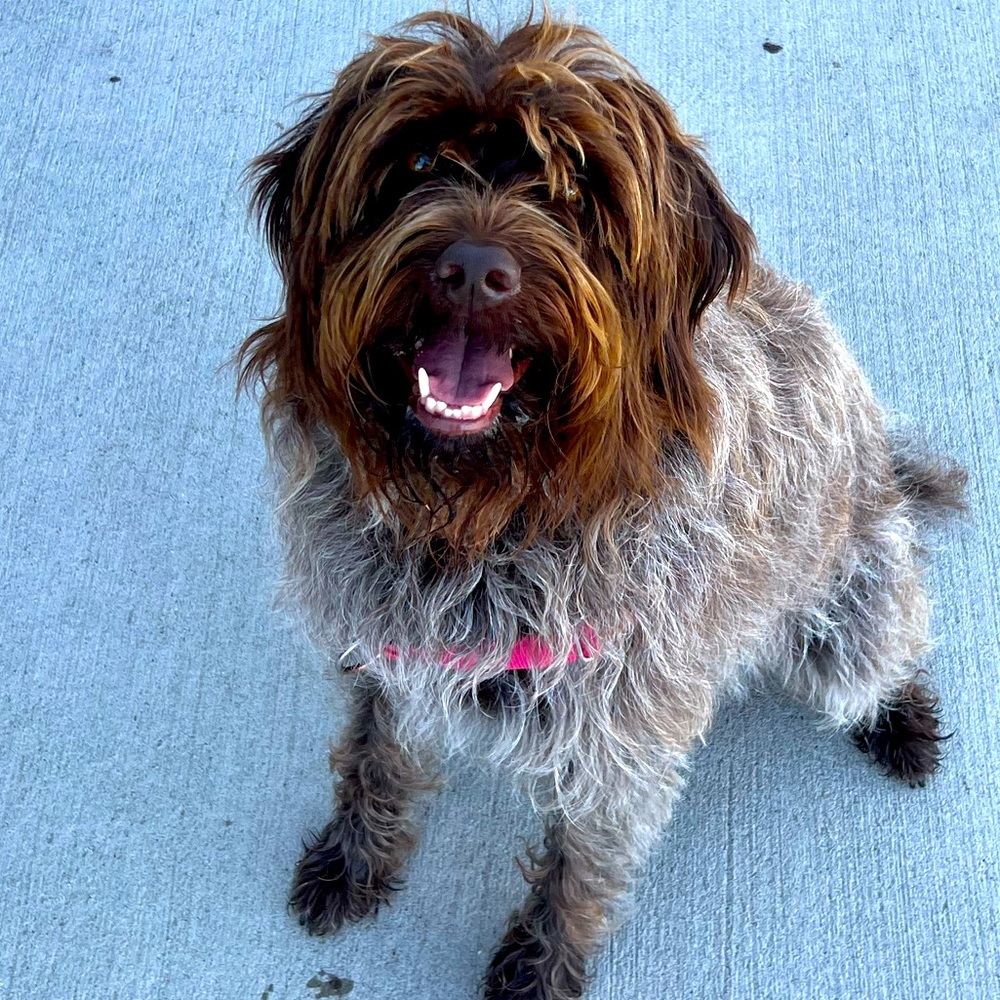 Meet your Posher, Olivia